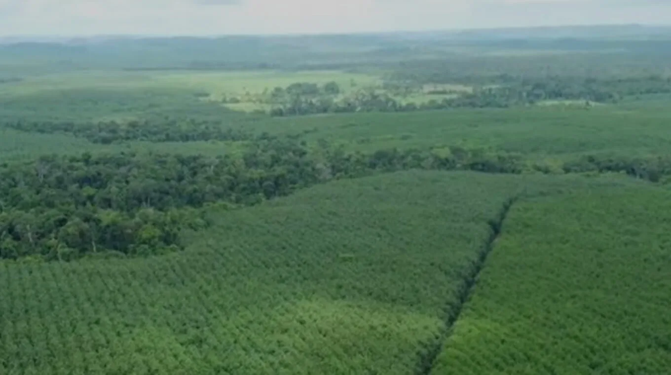 Đầu tư chiến lược